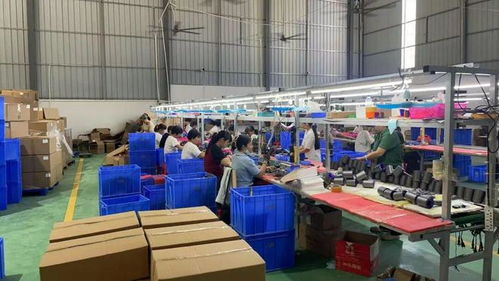 點贊！化州這個鎮(zhèn)“微工廠”遍地開花，留守婦女掙錢顧家兩不誤